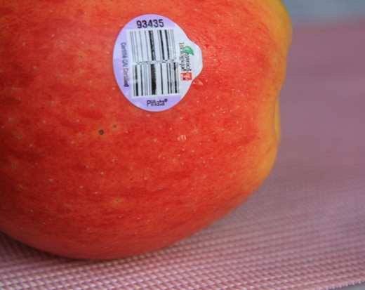 IMG_0416 IMG_0416