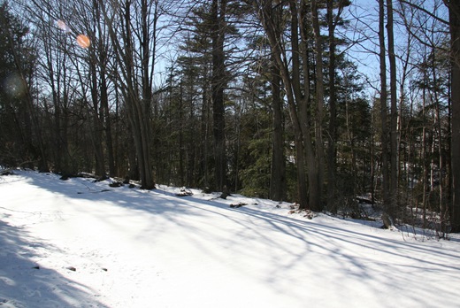 IMG_0614 IMG_0614