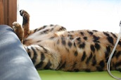 IMG_0637 IMG_0637