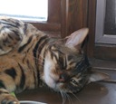 IMG_0638 IMG_0638