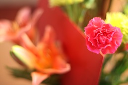 IMG_0986 IMG_0986