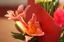 IMG_0988 IMG_0988