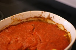 IMG_1045 IMG_1045