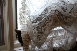 IMG_1080 IMG_1080