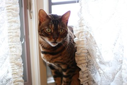 IMG_1085 IMG_1085