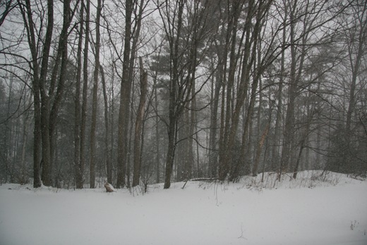 IMG_1364 IMG_1364