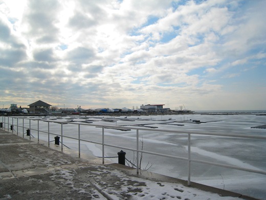 IMG_8564 IMG_8564