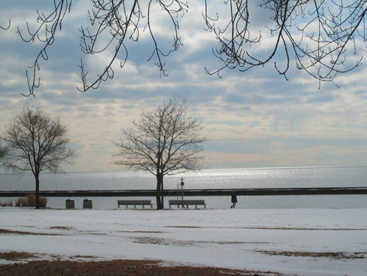 IMG_8568 IMG_8568