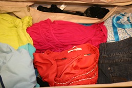 IMG_2469 IMG_2469