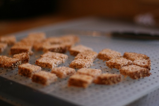 IMG_2486 IMG_2486