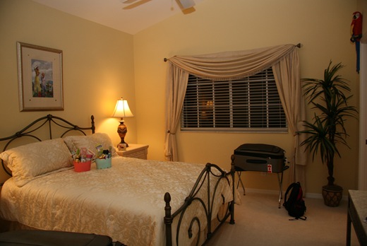 IMG_2545 IMG_2545