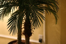 IMG_2560 IMG_2560