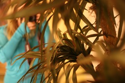 IMG_2565 IMG_2565