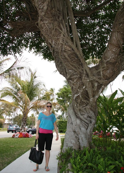 IMG_2626 IMG_2626