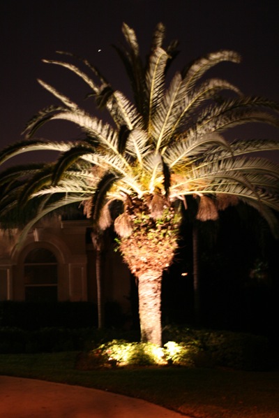 IMG_2793 IMG_2793