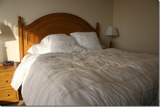 IMG_2870 IMG_2870