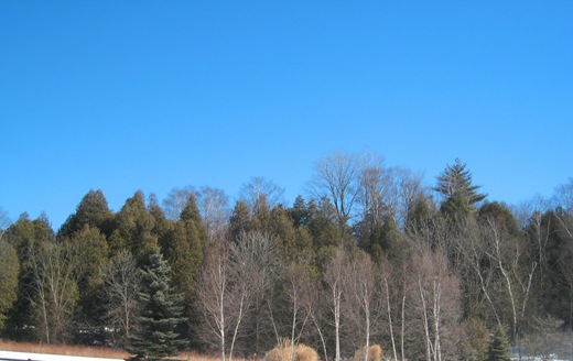 IMG_8607 IMG_8607