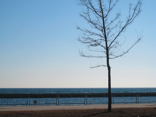 IMG_8709 IMG_8709