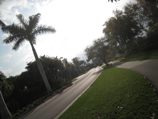 IMG_8938 IMG_8938