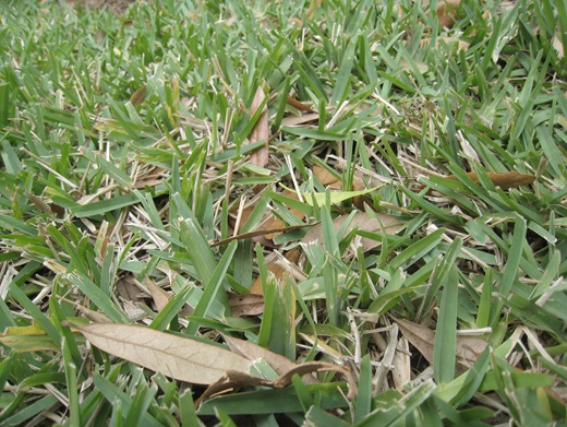 IMG_8940 IMG_8940