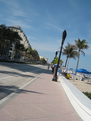 IMG_9247 IMG_9247