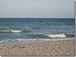 IMG_9484 IMG_9484