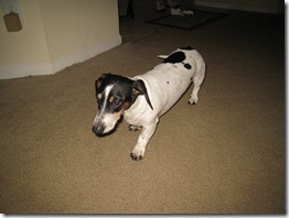 IMG_9539 IMG_9539