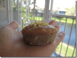 IMG_9904 IMG_9904