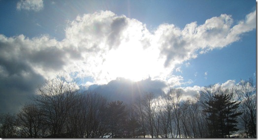 IMG_0328 IMG_0328