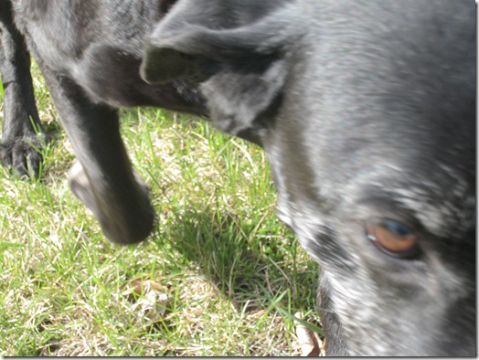 IMG_0334 IMG_0334