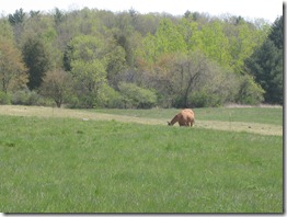 IMG_0558 IMG_0558