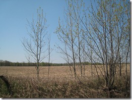 IMG_0561 IMG_0561