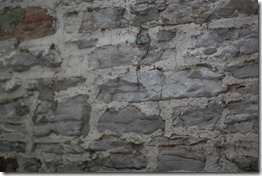 IMG_3475 IMG_3475