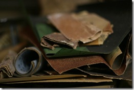 IMG_3501 IMG_3501