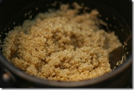 IMG_4024 IMG_4024