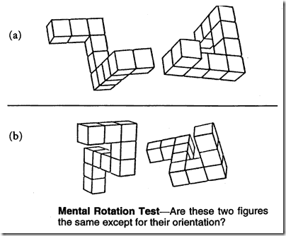 mental-rotation-test mental-rotation-test