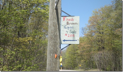 IMG_0563 IMG_0563