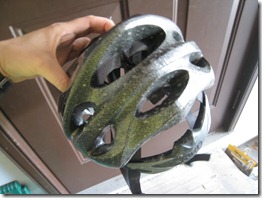 IMG_0650 IMG_0650