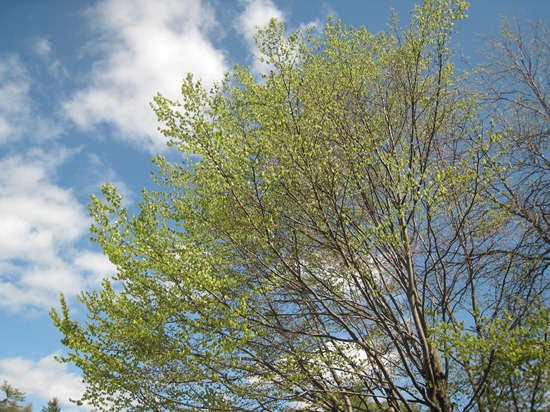 IMG_0757 IMG_0757