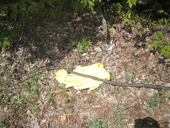 IMG_0860 IMG_0860