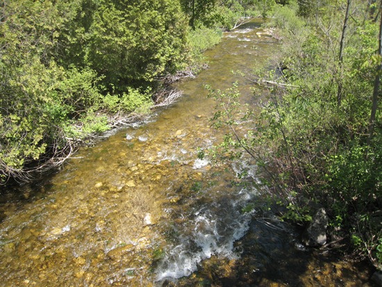 IMG_0864 IMG_0864