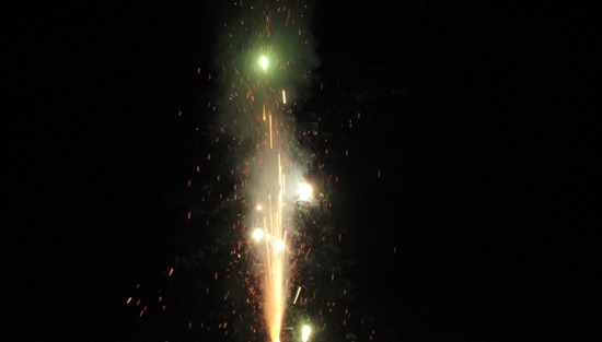 IMG_1175 IMG_1175