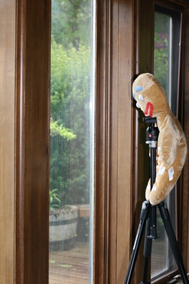 IMG_6401 IMG_6401