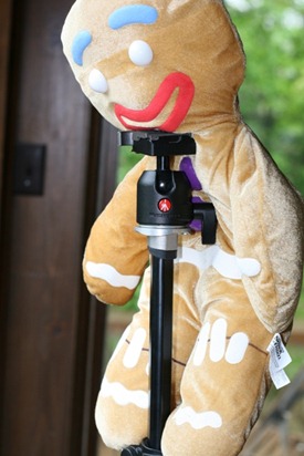 IMG_6402 IMG_6402