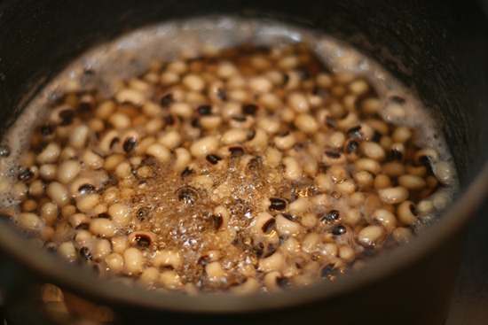 IMG_7254 IMG_7254