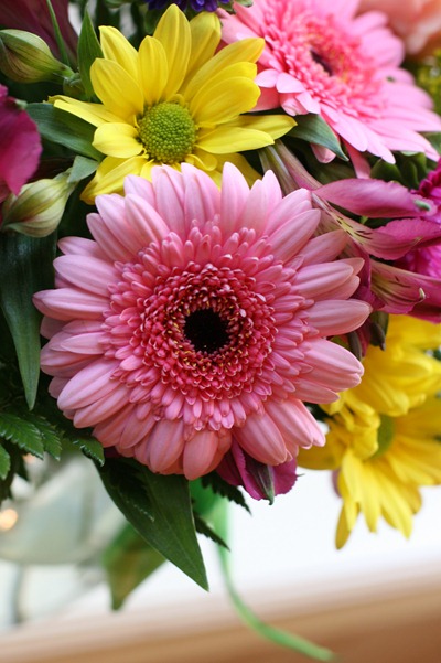 IMG_7264 IMG_7264