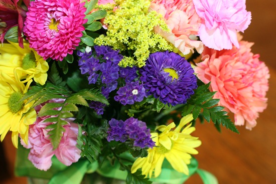 IMG_7393 IMG_7393