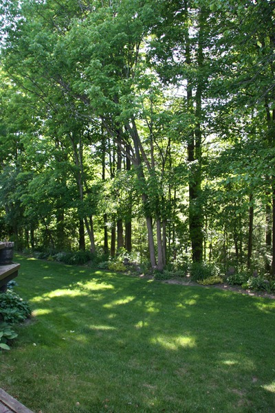 IMG_8157 IMG_8157