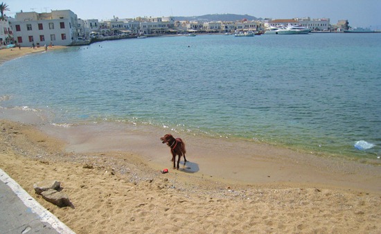 IMG 92952 thumb2   1,000 Words: Mykonos, Greece