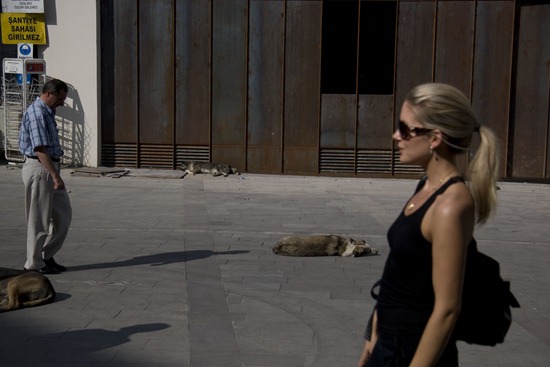 new5 thumb   1,000 Words: Istanbul, Turkey